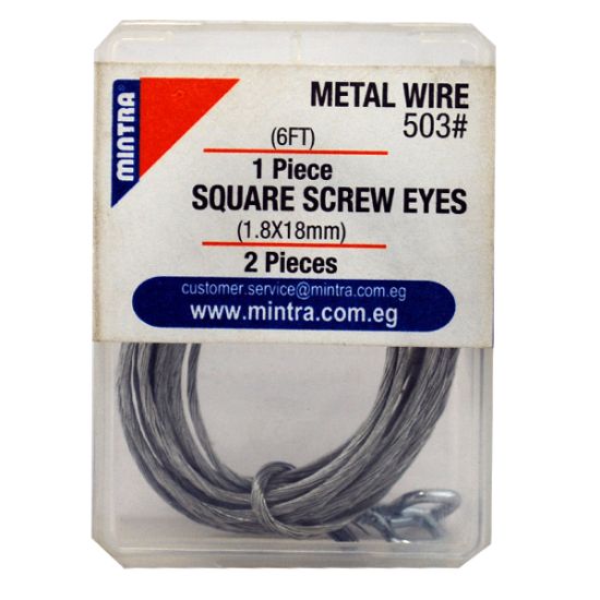 صورة سلك معدني مع مسمار خطاف 18*1.8 مم قطعة واحدة – مينترا 6FT